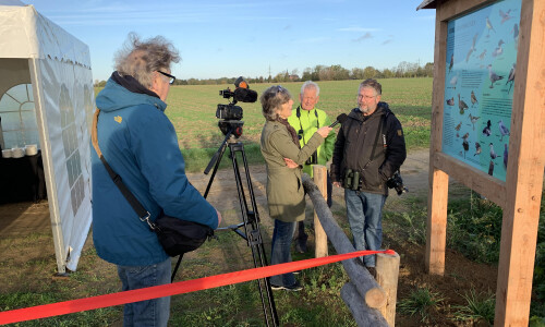 Vogelkijkwand met infobord