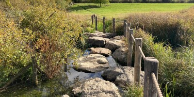 Stepstones toegankelijker gemaakt